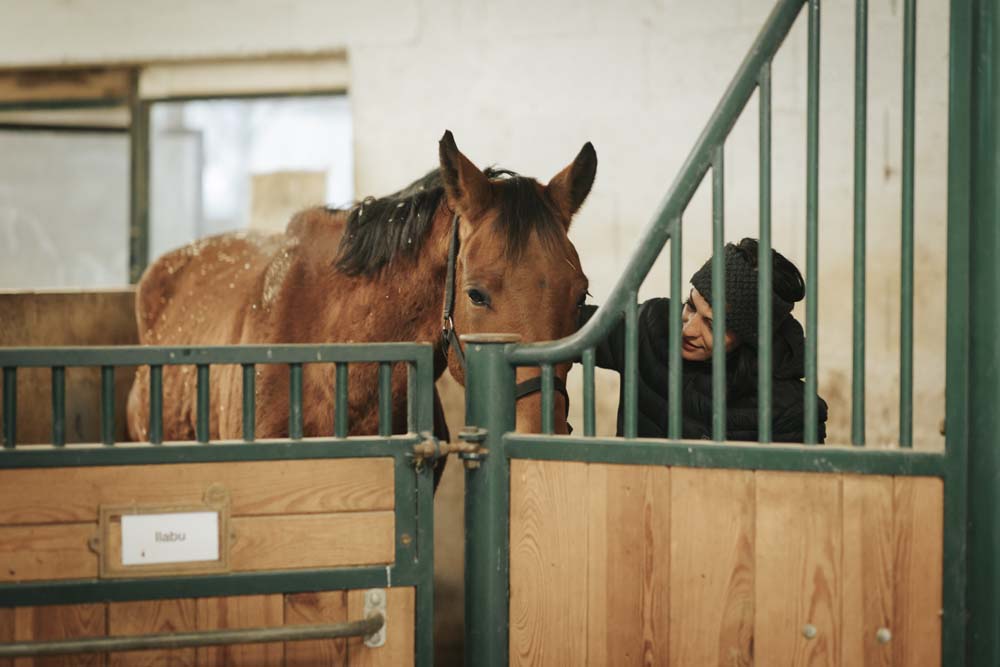 Une femme caresse son cheval dans son écurie au centre équestre du Couzon