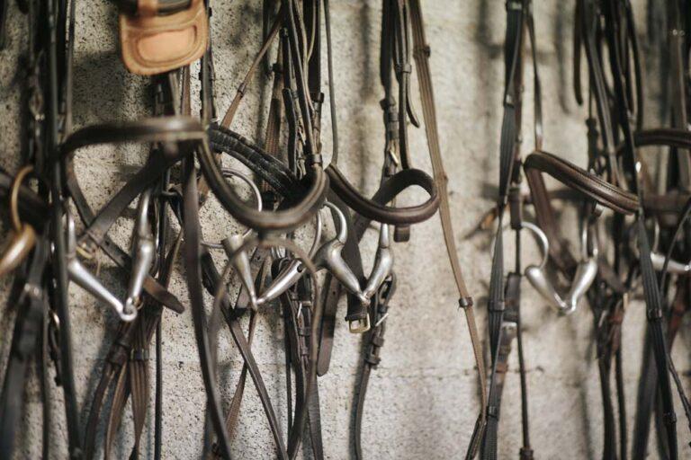 Des accessoires d'équitation sont accrochés au mur de la sellerie du centre équestre du Couzon