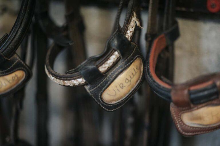 Des accessoires d'équitation sont accrochés au mur de la sellerie du centre équestre du Couzon