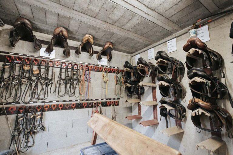 Des accessoires d'équitation sont accrochés au mur de la sellerie du centre équestre du Couzon