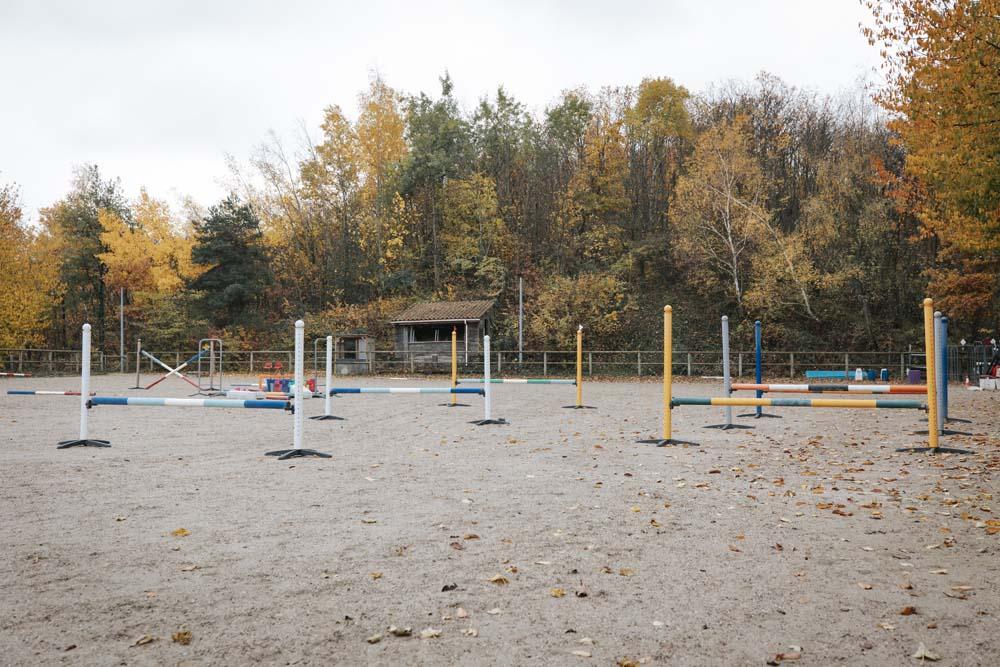 Des sauts et obstacles sont dispersés dans la carrière du centre équestre du Couzon