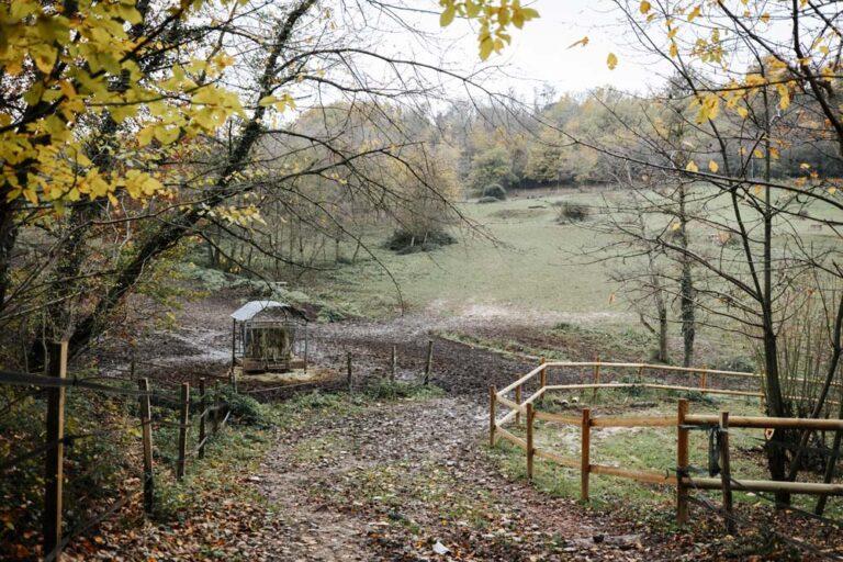 Décor automnal au milieu de la forêt au centre équestre du Couzon