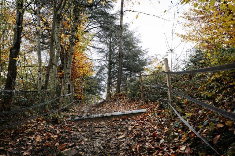 Décor automnal au milieu de la forêt au centre équestre du Couzon