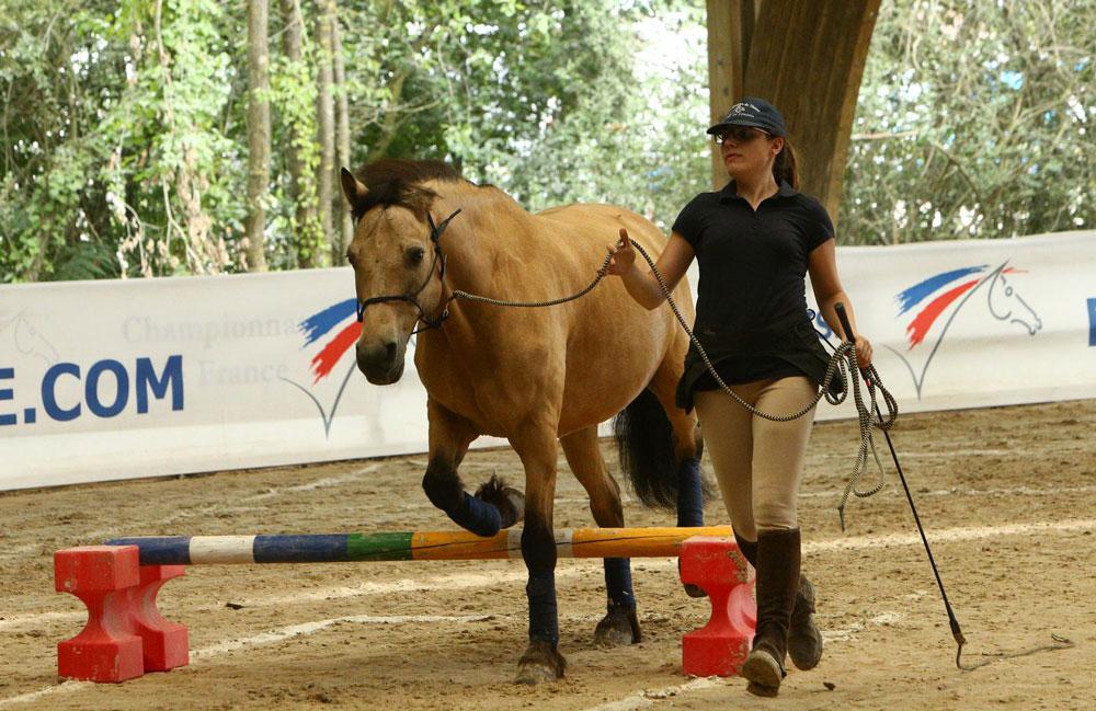 Une femme guide son cheval lors d'une séance d'Equifeel au centre équestre du Couzon