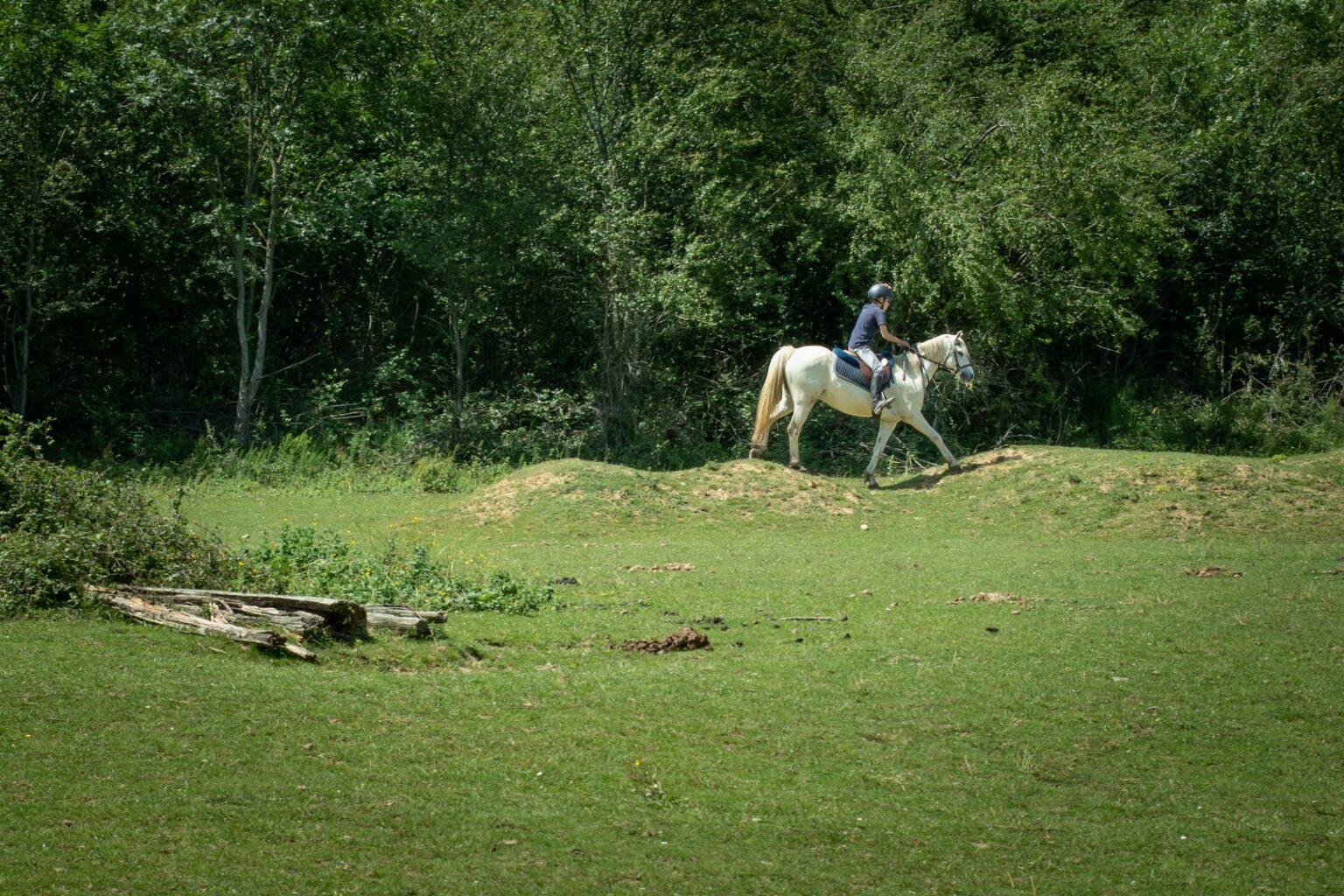 Un jeune homme à dos de cheval avancent sur des buttes au centre équestre du Couzon