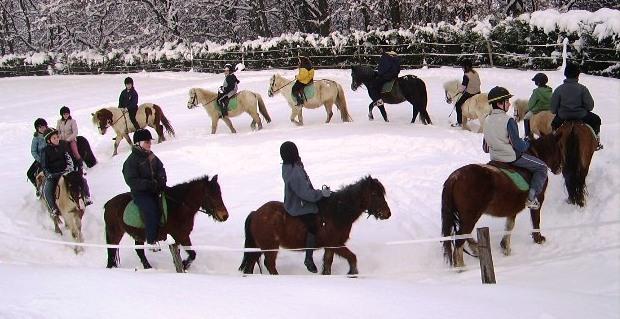 Des cavaliers de tout âge montent à dos de cheval dans le rond de longe au centre équestre du Couzon